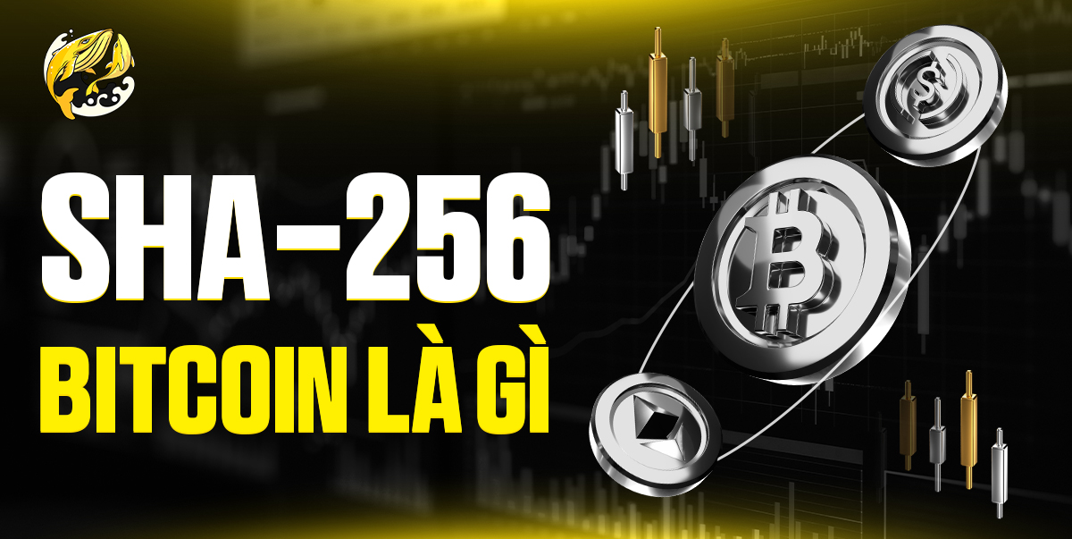 SHA-256 Bitcoin Là Gì: Giải Mã "Vân Tay Số" Giữ An Toàn Cho Bitcoin