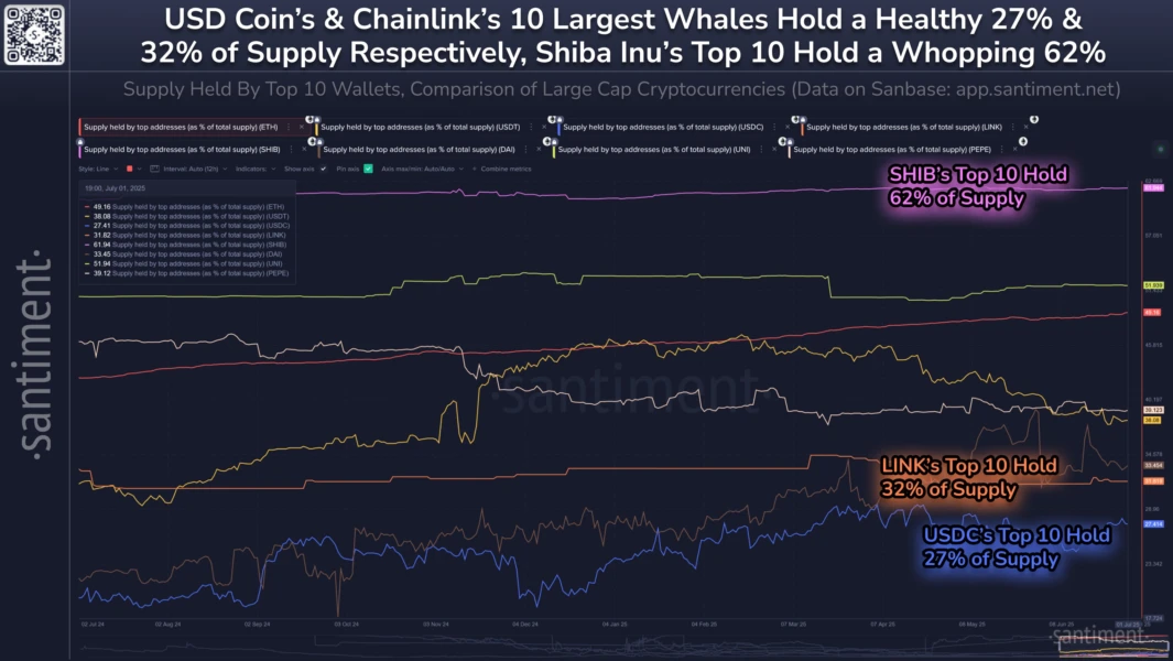 Biểu đồ thể hiện sự tập trung nguồn cung Shiba Inu trong tay các ví cá voi lớn