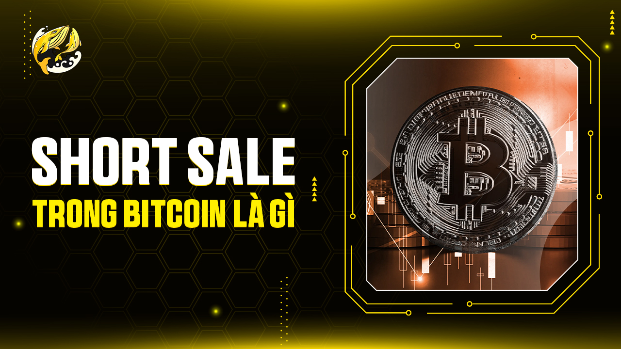 Short Sale Bitcoin Là Gì? Bí Kíp Gấu Trắng Kiếm Lời Cả Khi BTC Đỏ Lửa