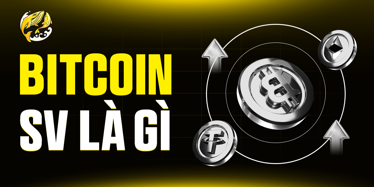 Bitcoin SV Là Gì? Tầm Nhìn Satoshi Gây Tranh Cãi Nhất Crypto 2026