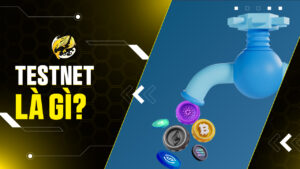 Testnet Là Gì? Phòng Thí Nghiệm Crypto Và Cơ Hội Airdrop