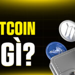 Ví Bitcoin Là Gì? Giải Mã A-Z Cho Newbie & 5 Nguyên Tắc Vàng Bảo Vệ Tài Sản