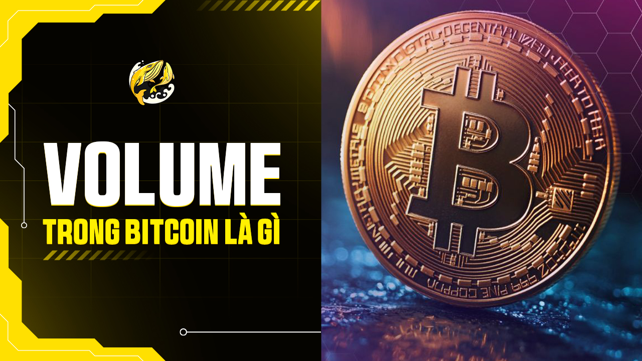 Volume trong Bitcoin là gì?
