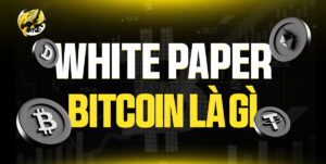 Bitcoin Whitepaper Là Gì? "Tuyên Ngôn Độc Lập" Của Tiền Tệ Số Từ Satoshi Nakamoto