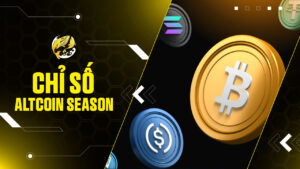 Chỉ Số Altcoin Season (ASI): Giải Mã Tín Hiệu Thị Trường và Chiến Lược 2026