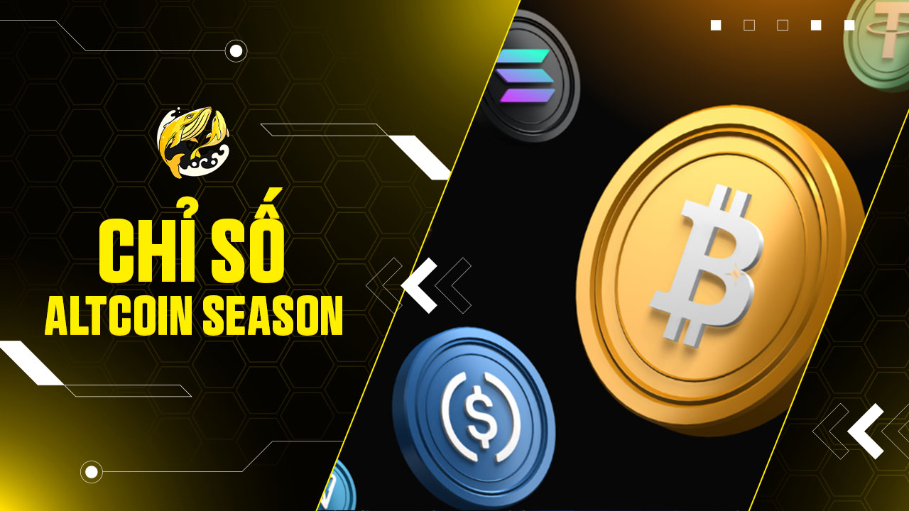 Chỉ Số Altcoin Season (ASI)