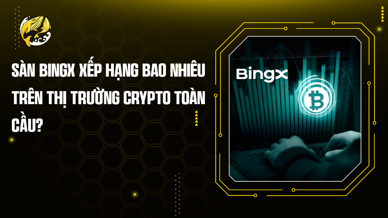 Sàn BingX Xếp Hạng Bao Nhiêu Trên thị trường crypto Toàn Cầu?