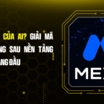 Sàn MEXC Của Ai? Giải Mã Người Đứng Sau Nền Tảng Crypto Hàng Đầu