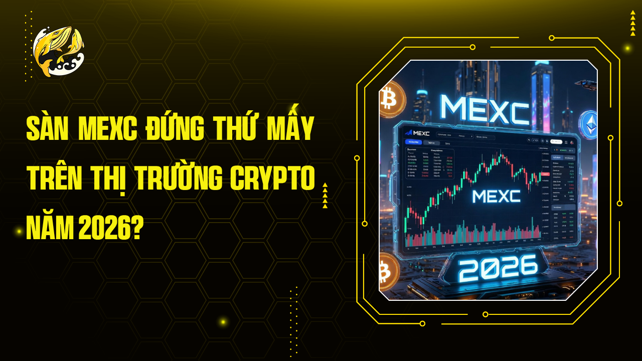 Sàn MEXC Đứng Thứ Mấy Trên thị trường crypto Năm 2026?