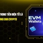 Địa Chỉ EVM Trong Tiền Điện Tử Là Gì? Giải Mã Cùng Ema Crypto