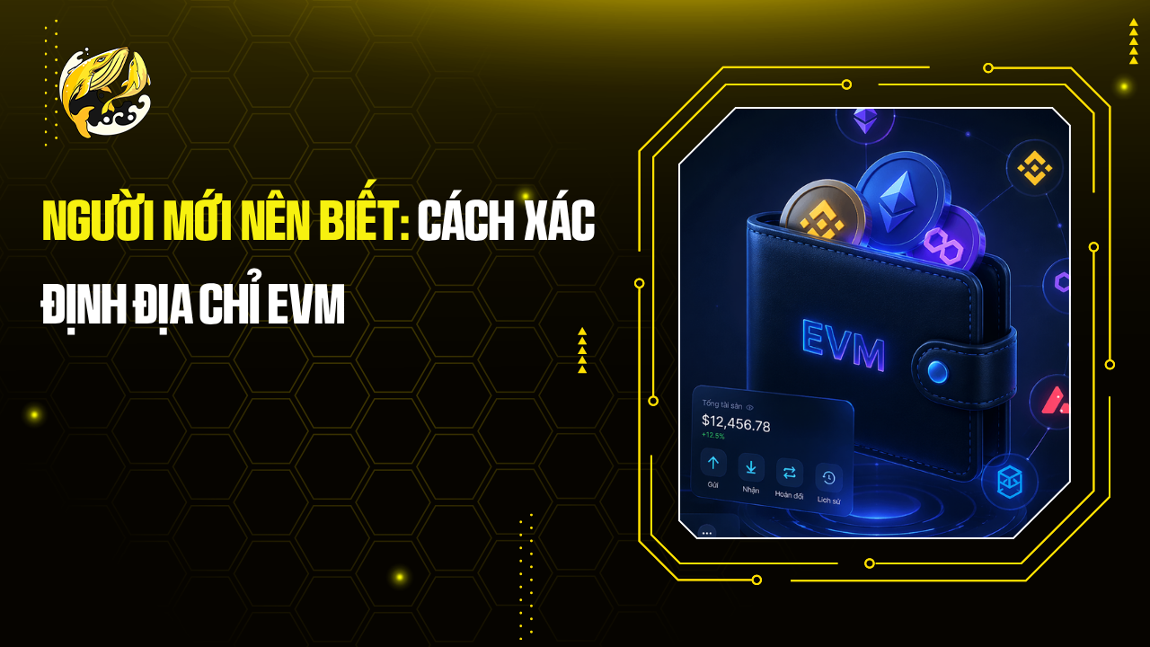 Người Mới Nên Biết: Cách Xác Định Địa Chỉ EVM