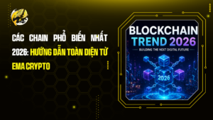 Các Chain Phổ Biến Nhất 2026: Hướng Dẫn Toàn Diện Từ Ema Crypto