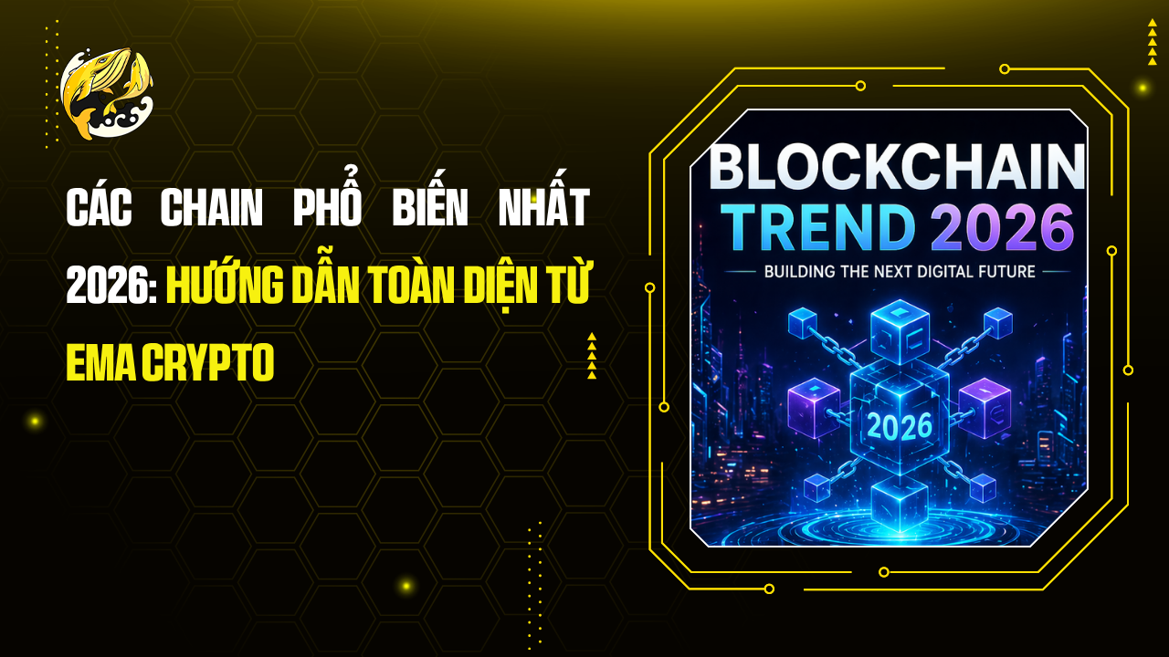 Các Chain Phổ Biến Nhất 2026