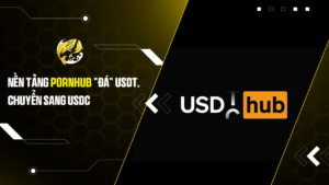 Nền tảng Pornhub "đá" USDT, quay sang USDC