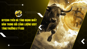 Bitcoin Trên Đà Tăng Mạnh Nhất Năm Trong Bối Cảnh Lượng USDT Tăng Trưởng 5 Tỷ USD