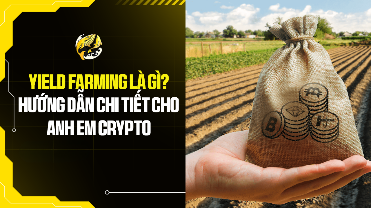 Yield Farming Là Gì