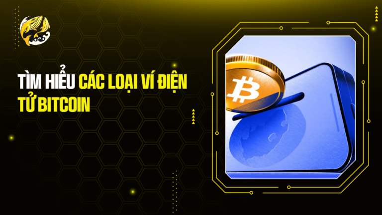 Tìm Hiểu Các Loại Ví Điện Tử Bitcoin