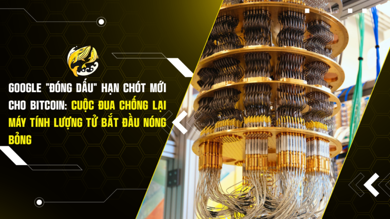 Google "Đóng Dấu" Hạn Chót Mới Cho Bitcoin: Cuộc Đua Chống Lại Máy Tính Lượng Tử Bắt Đầu Nóng Bỏng