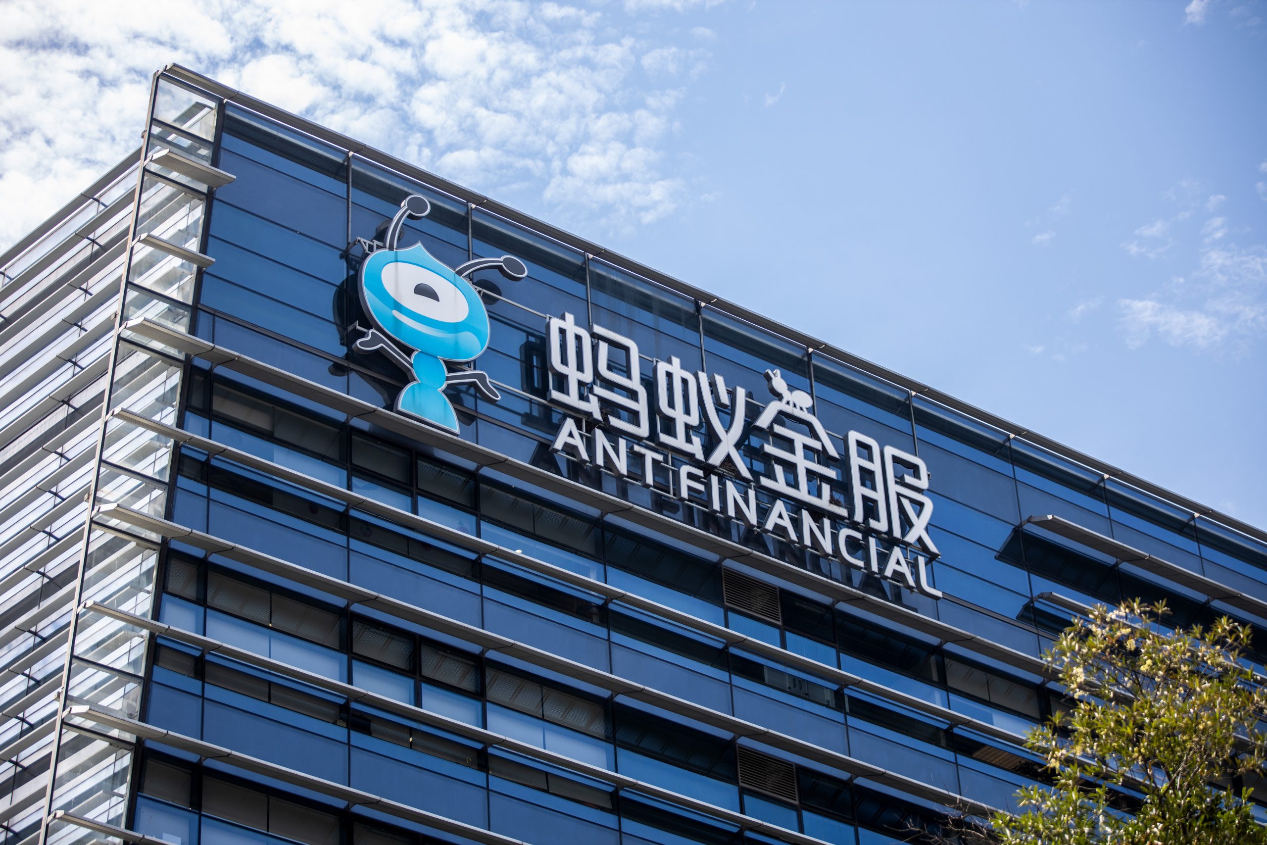 Người dùng thực hiện giao dịch qua ứng dụng di động, phản ánh hoạt động cốt lõi của Ant Group trong tài chính số.