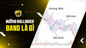 Đường Bollinger Band Là Gì? Hướng Dẫn Chi Tiết Cách Sử Dụng Bollinger Bands Trong Giao Dịch Crypto 2026