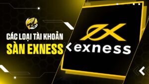 Các Loại Tài Khoản Sàn Exness 2026: Đánh Giá & So Sánh