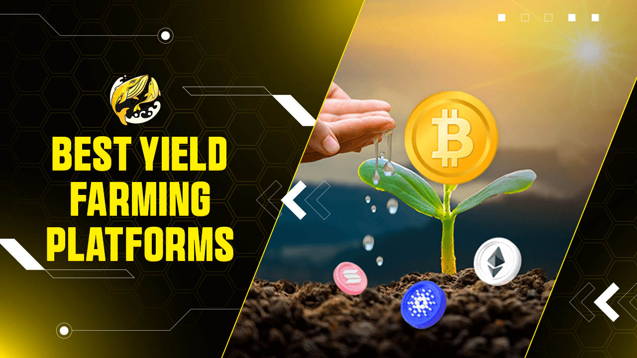 Top 10 Nền Tảng Yield Farming Tốt Nhất 2026: Tối Ưu Lợi Nhuận DeFi
