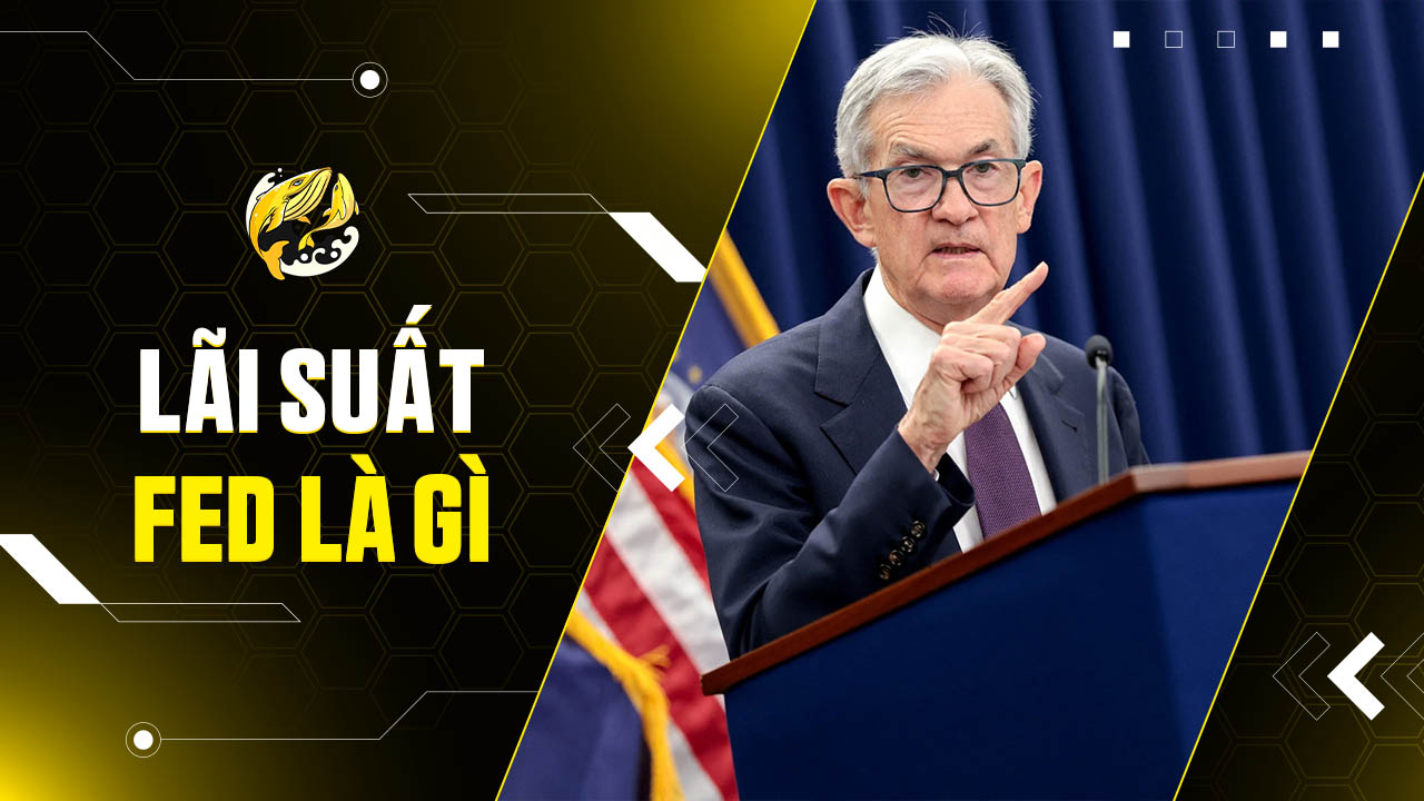Lãi Suất FED Là Gì? Toàn Tập Tác Động Đến Bitcoin, Crypto
