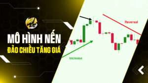 Các Mô Hình Nến Đảo Chiều Tăng Giá Trong Crypto: Nắm Bắt Đáy, Tối Ưu Lợi Nhuận