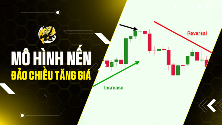 Hướng Dẫn Xem Biểu Đồ Bitcoin Từ A-Z: Nắm Vững Phân Tích Kỹ Thuật