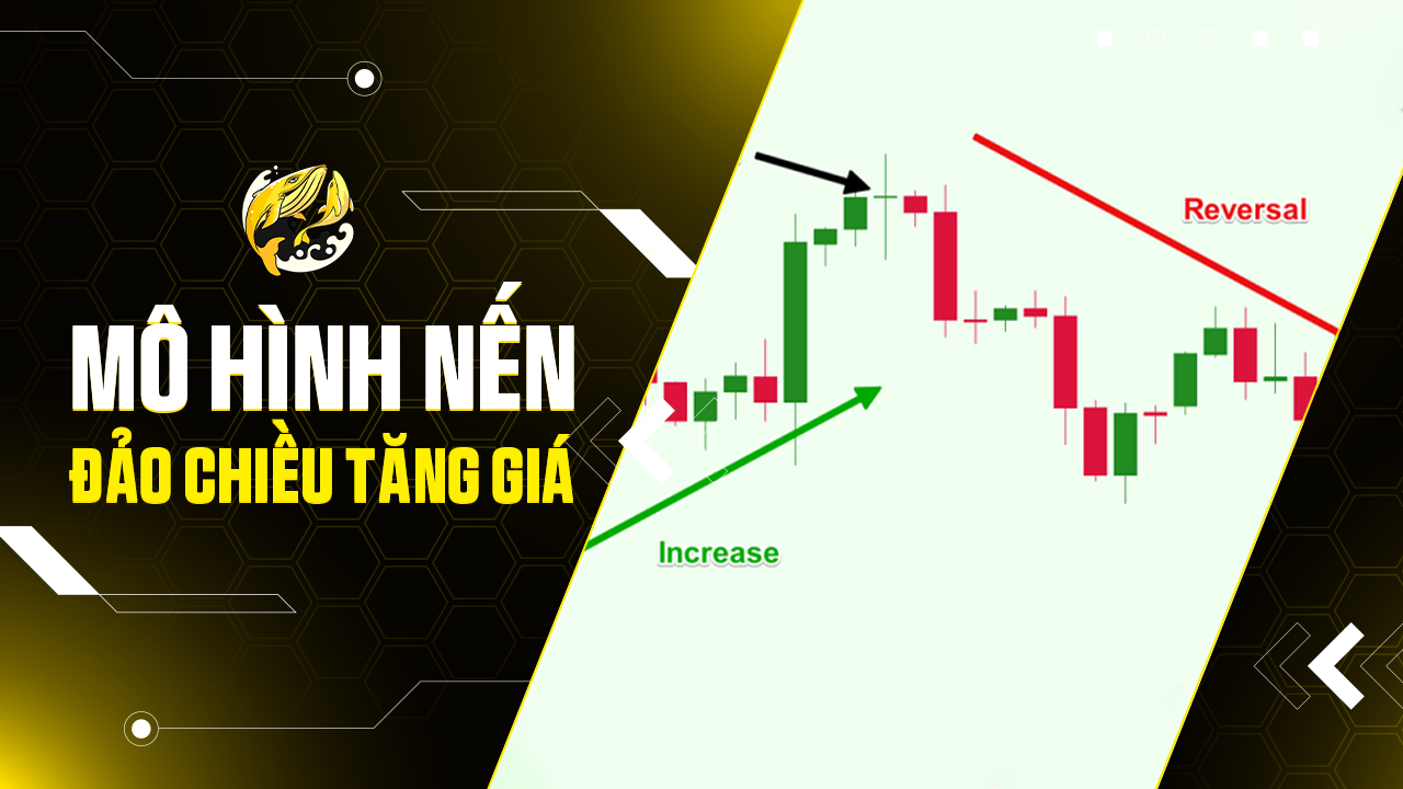 Các Mô Hình Nến Đảo Chiều Tăng Giá Trong Crypto