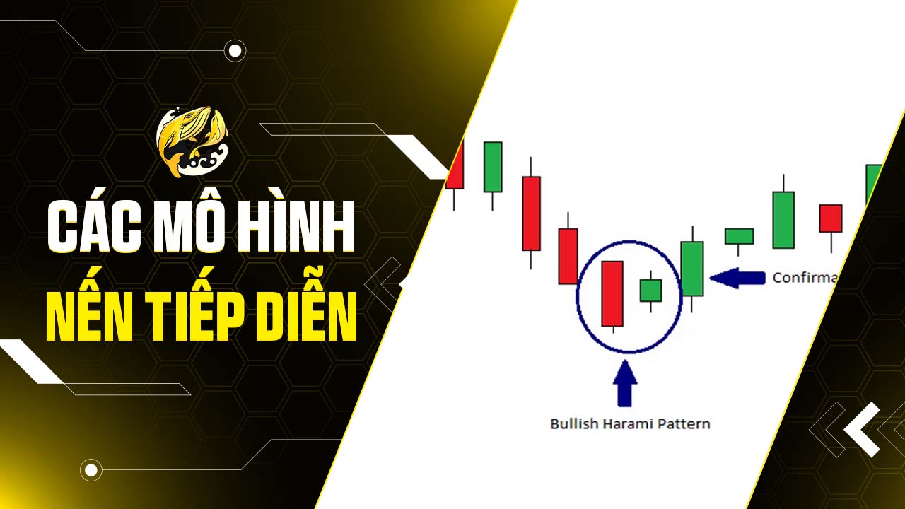 Nắm Vững Các Mô Hình Nến Tiếp Diễn