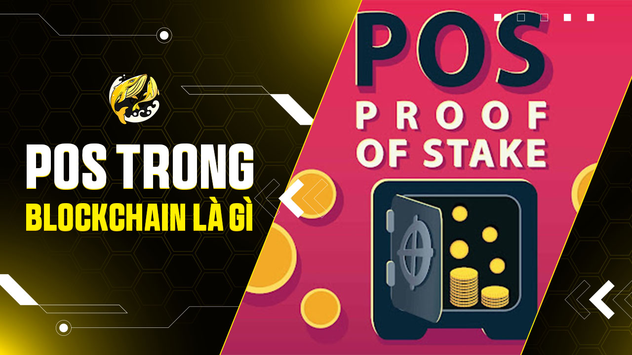 Proof of Stake (PoS) Là Gì Trong Blockchain? Toàn Tập