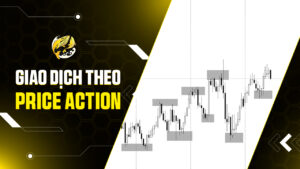 Giao Dịch Theo Price Action Hiệu Quả Với Mọi Thị Trường Cùng Ema