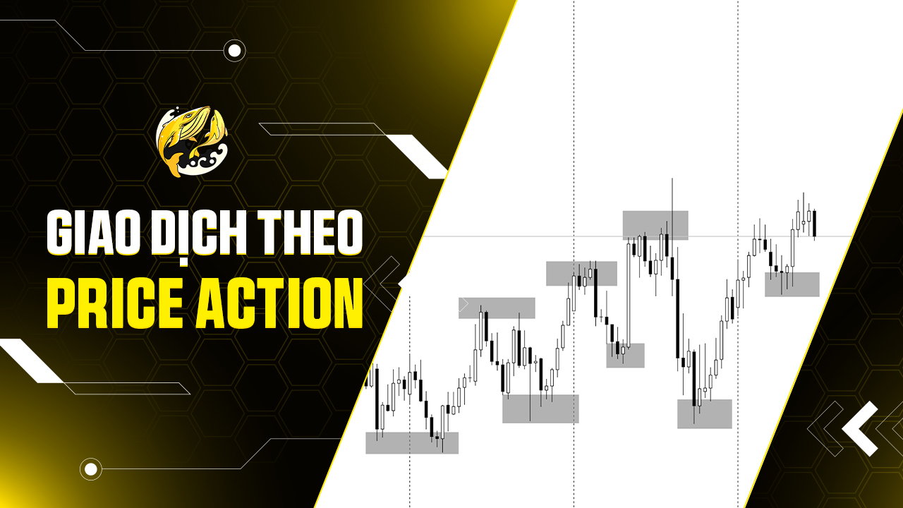 Giao Dịch Theo Price Action Hiệu Quả Với Mọi Thị Trường