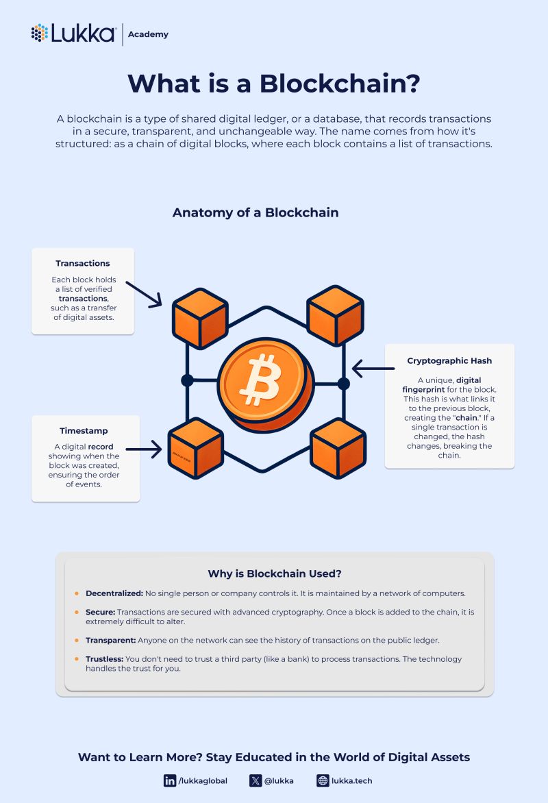 Sổ cái giao dịch blockchain minh bạch và tính phi tập trung của DeFi