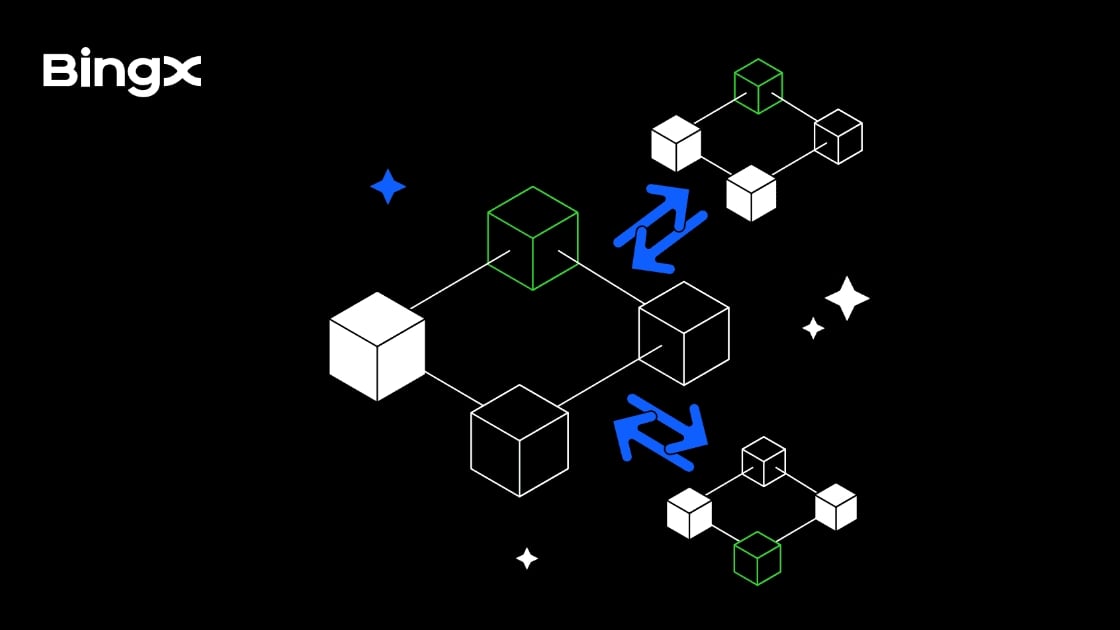 OKX Web3 Wallet và X Layer, mạng lưới Layer 2 của OKX, cổng vào thế giới DeFi và DApps