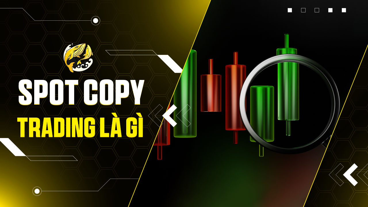 Spot Copy Trading Là Gì? Hướng Dẫn Từ A-Z Cho Nhà Đầu Tư Crypto
