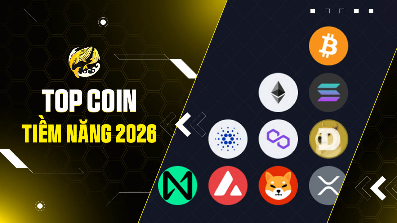 Top Coin Tiềm Năng 2026: Phân Tích Chuyên Sâu Các Xu Hướng Định Hình