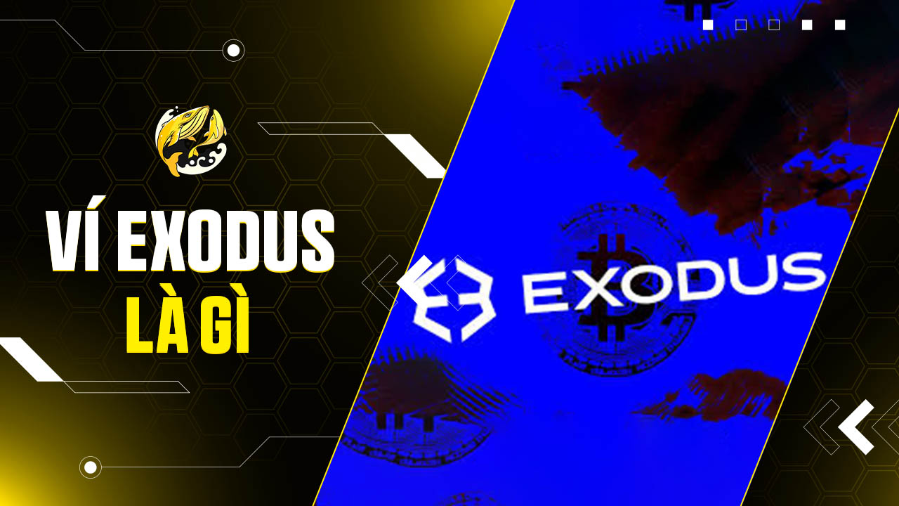 Ví Exodus Là Gì? Đánh Giá Chi Tiết và Hướng Dẫn Sử Dụng