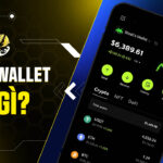Ví OKX Wallet Là Gì? Toàn Tập Về Cổng Web3 Đa Năng 2026