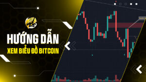Hướng Dẫn Xem Biểu Đồ Bitcoin Từ A-Z: Nắm Vững Phân Tích Kỹ Thuật
