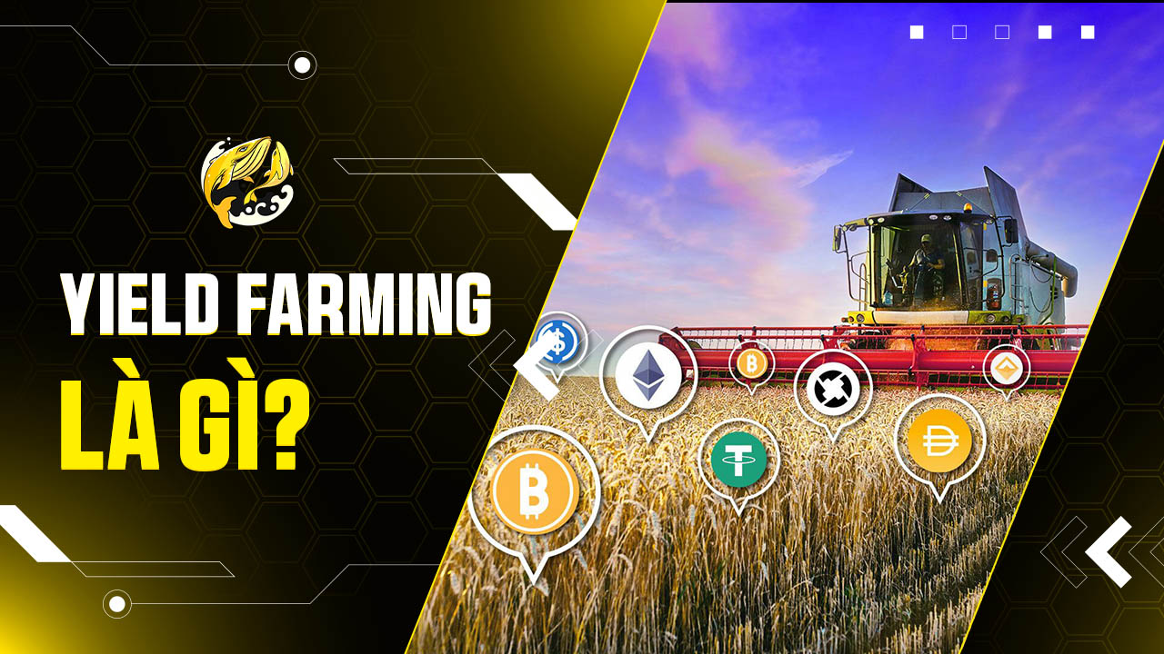 Yield Farming là gì? Hướng Dẫn Toàn Diện Về Khai Thác Lợi Suất DeFi