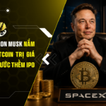 SpaceX của Elon Musk nắm giữ lượng Bitcoin trị giá 1,45 tỷ USD trước thềm IPO