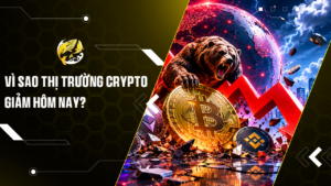 Vì Sao Thị Trường Crypto Giảm Hôm Nay?