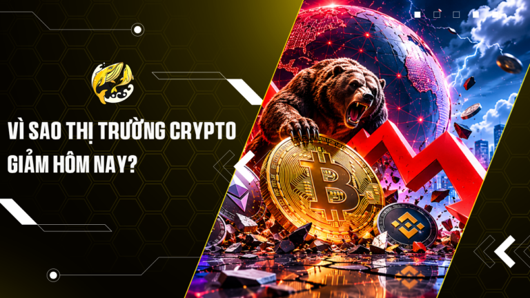 Vì Sao Thị Trường Crypto Giảm Hôm Nay?