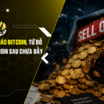 Sequans bán tháo Bitcoin, từ bỏ chiến lược Bitcoin sau chưa đầy một năm