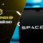 Hợp đồng SpaceX sập 45% chỉ trong 30 phút, 405 trader cháy tài khoản hơn 1,5 triệu USD