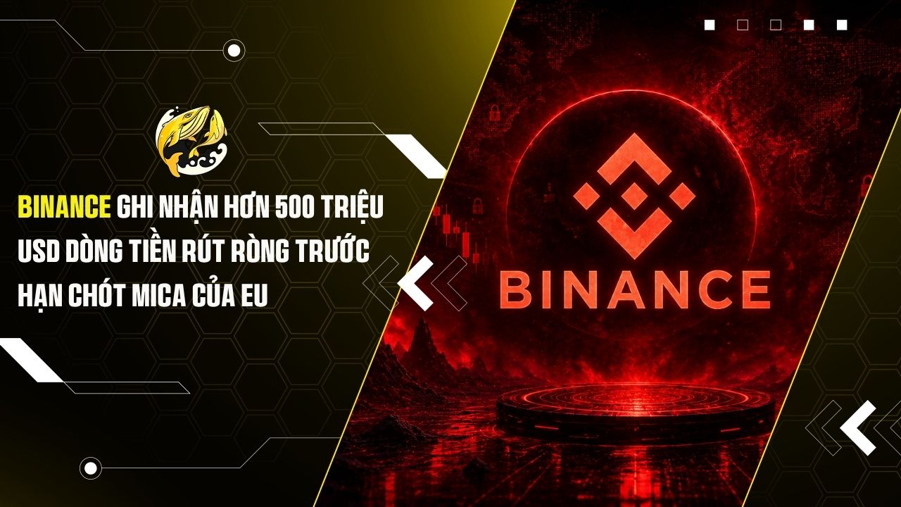 Binance Ghi Nhận Hơn 500 Triệu USD Dòng Tiền Rút Ròng Trước Hạn Chót MiCA Của EU