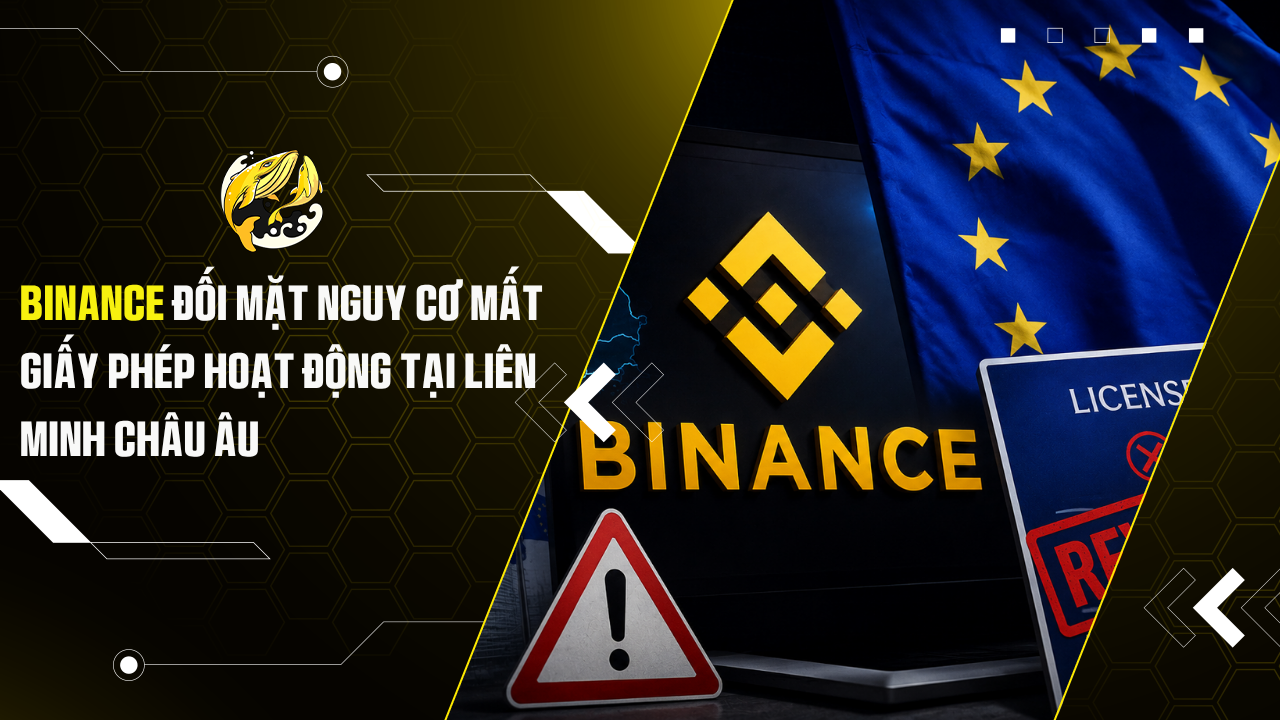 Binance Đối Mặt Nguy Cơ Mất Giấy Phép Hoạt Động Tại Liên Minh Châu Âu