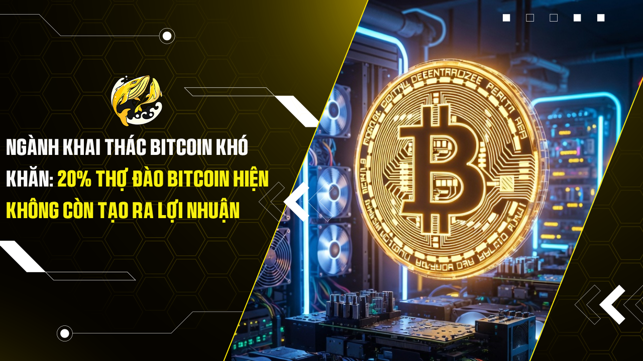 Ngành Khai Thác Bitcoin Khó Khăn